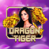 Dragon Tiger live table cover